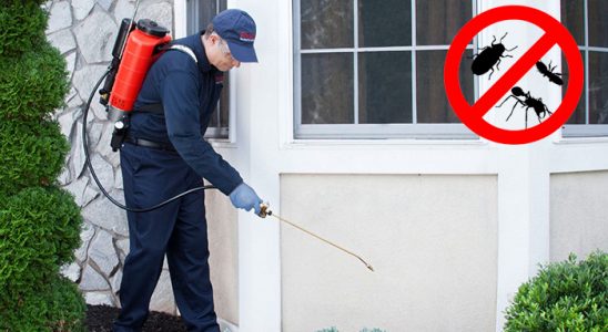 Zeytinburnu Uçan Haşere İlaçlama böcek ilaçlama ve haşere kontrolü — ilaclama-tr.com